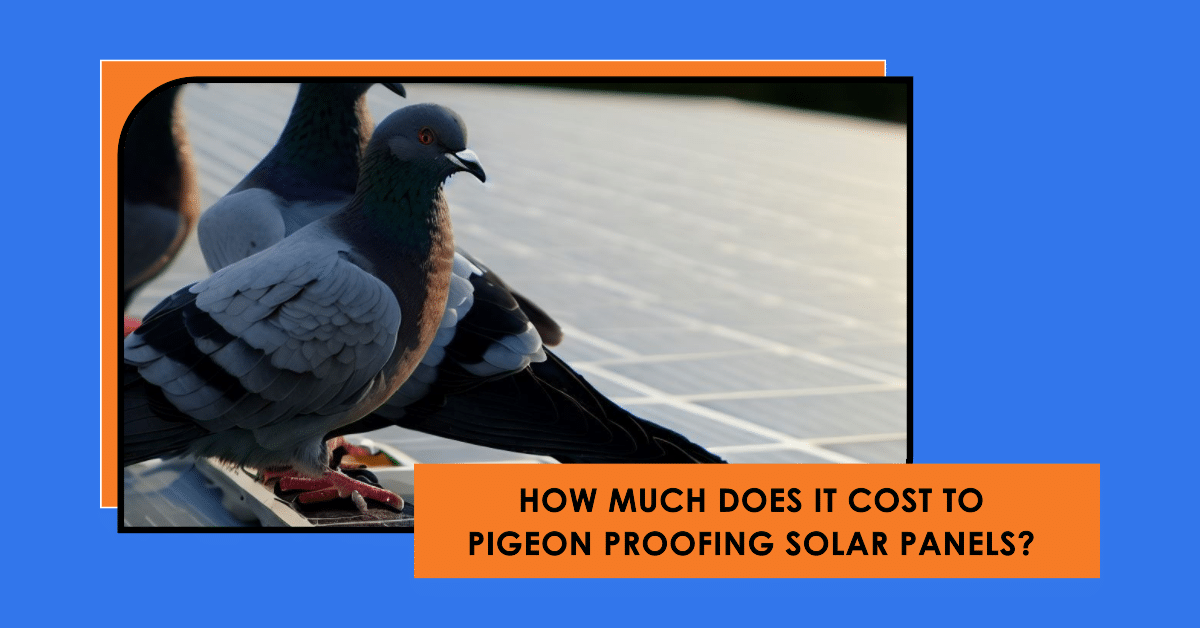 How Much Does It Cost To Pigeon Proofing Solar Panels (A Comprehensive Guide)