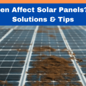 Does-Pollen-Affect-Solar-PanelsCleaning-Solutions-Tips